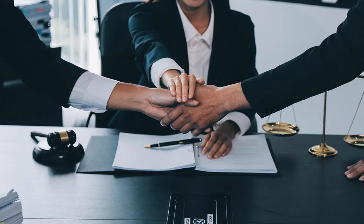 Professional legal consultation